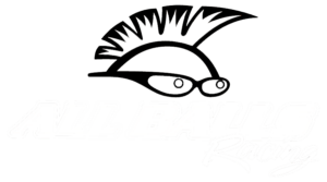 ALL BALLS Racing logo_white