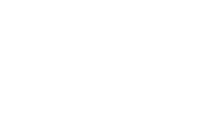 Alpinestar_white